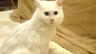 20171202_fuu.jpg