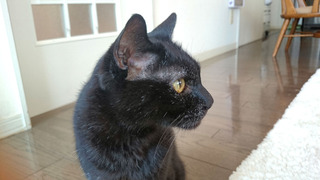 20171202_jiji.jpg