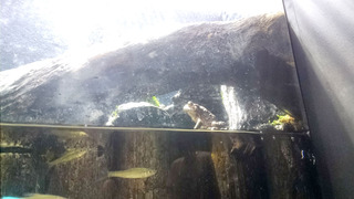 20180822_sore06_umi03.jpg