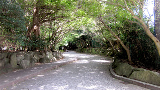 20180907_bungakukan01.jpg