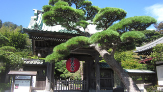 20180908_hasedera.jpg