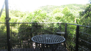 20180908_nest03.jpg