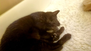 20181123_jiji.jpg