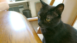 20190706_jiji01.jpg