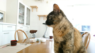 20190706_rin01.jpg