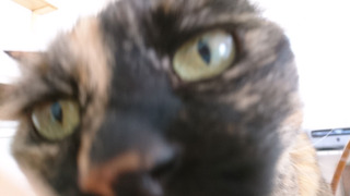 20190706_rin03.jpg