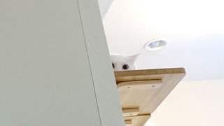 20190707_fuu01.jpg